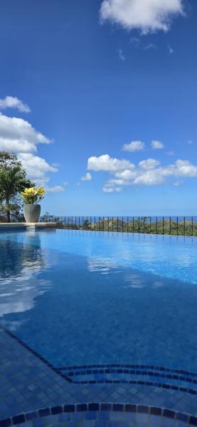 Casa Sol Azul - remarkable, ocean view 4 BR House in Potrero